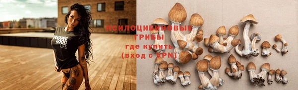 мескалин Абаза
