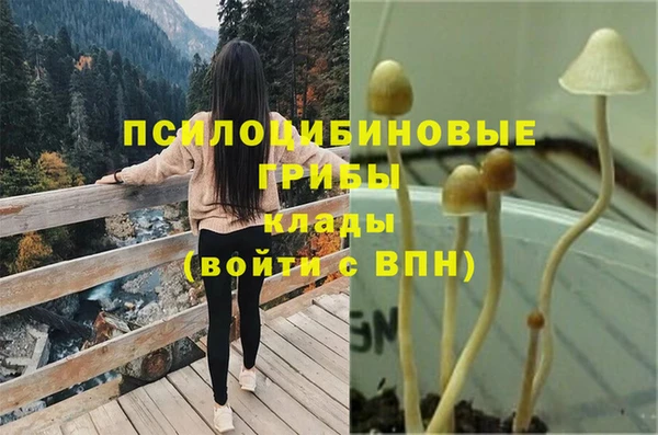 дживик Абдулино