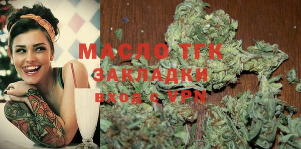 молекула духа Пересвет